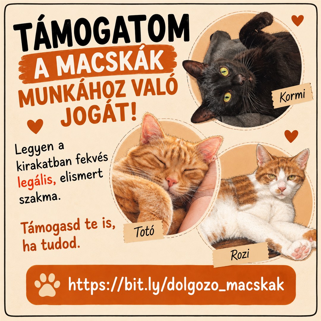 Támogatom a macskák munkához való jogát