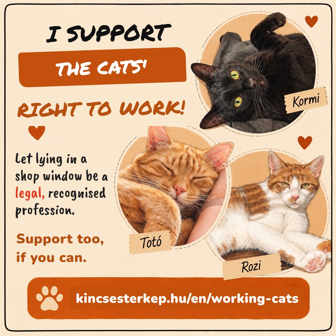 I support the cats' right to work