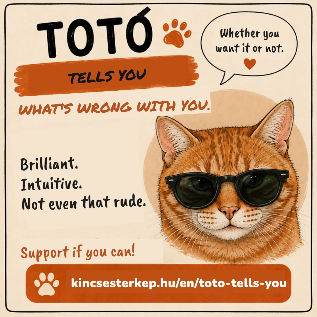 Totó tells you what's wrong with you, support if you can